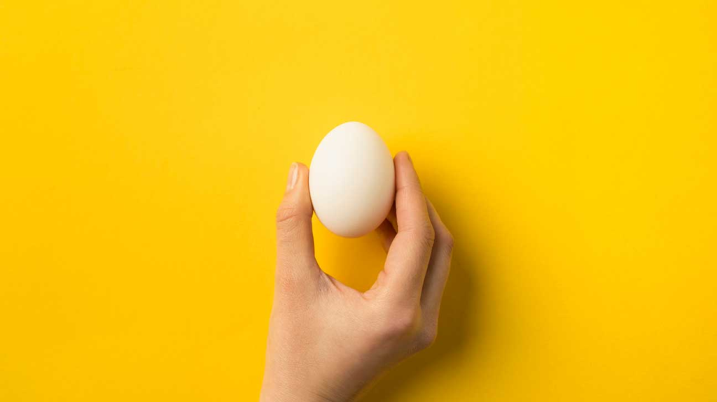 egg diet plan