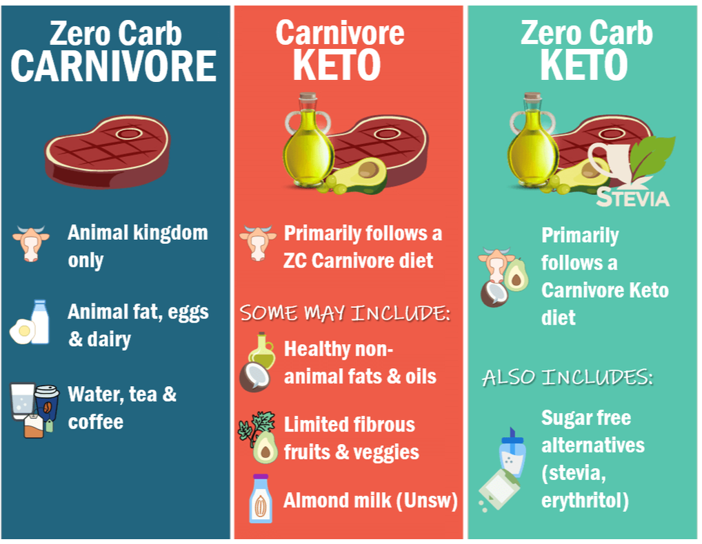 carnivore diet plan