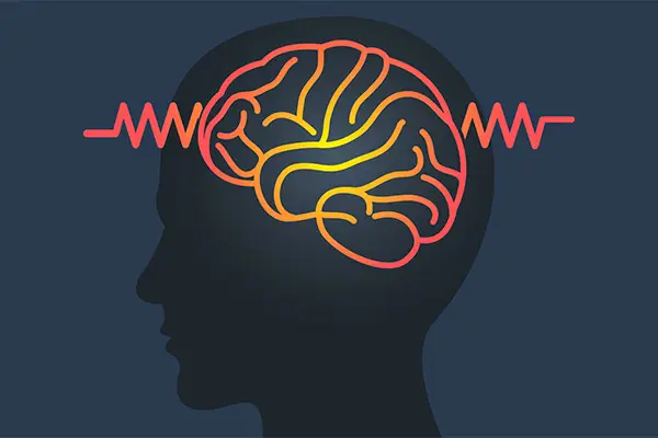 hippocampal volumetry